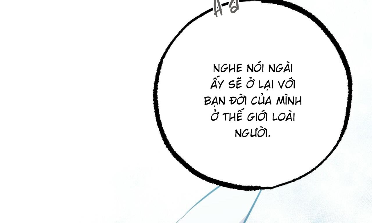 những chú thỏ của hapypy chapter 56 275