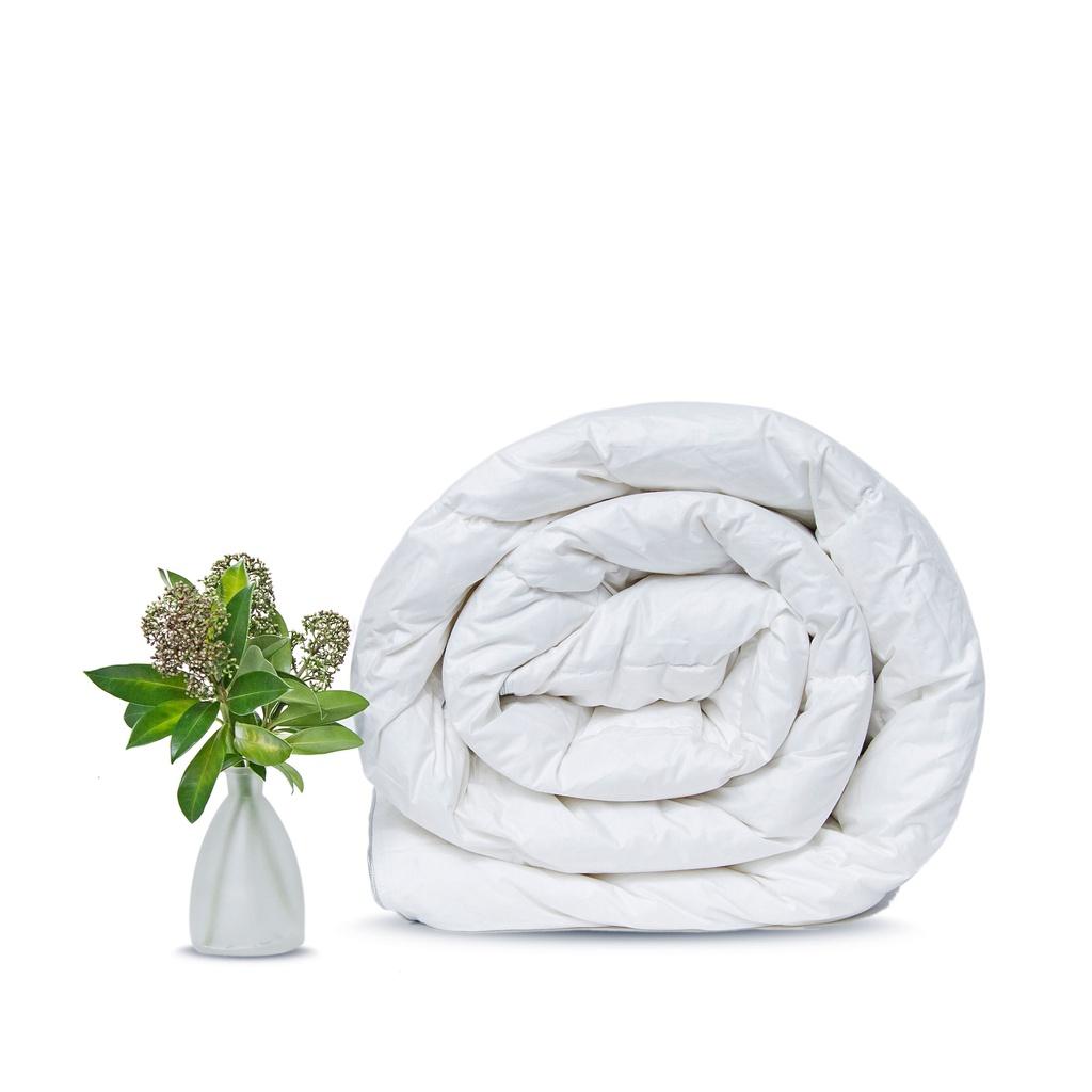 Ruột chăn/ Ruột mền cao cấp - JEJU BEDDING