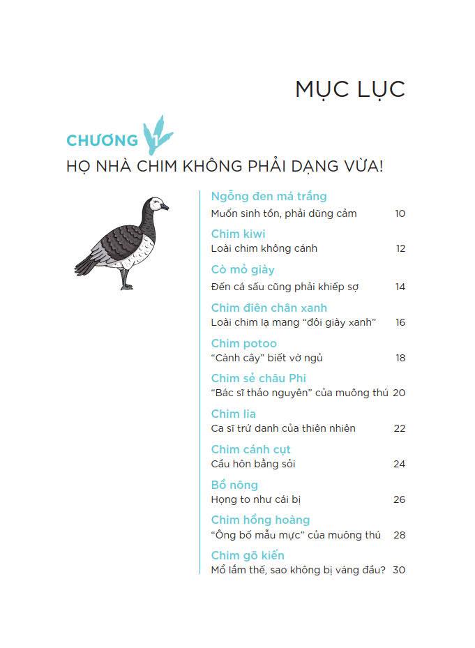 Động Vật Kì Thú - Chim Muông (Tranh Truyện Khoa Học - Những Kiến Thức Khoa Học Thú Vị, Mới Lạ Về Thế Giới Động Vật (Dành Cho Độc Giả Tuổi 6+))