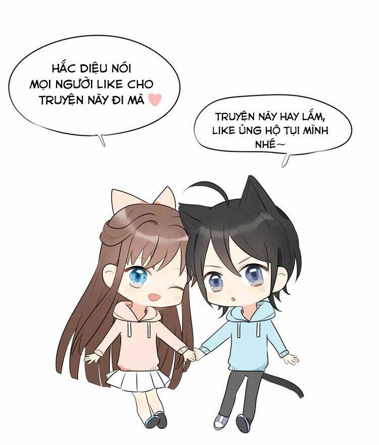 tiểu miêu và hắc diệu thạch chapter 6 28