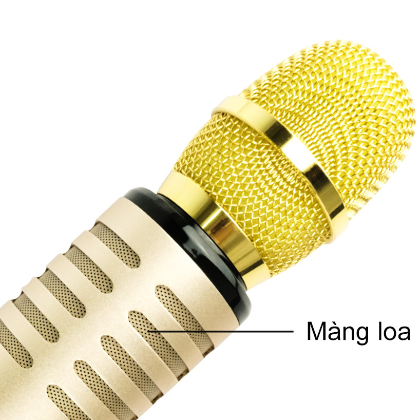 Micro karaoke kèm Loa bluetooth cao Cấp PKCB204 có khe Cắm thẻ nhớ 3 trong 1 Hàng chính hãng