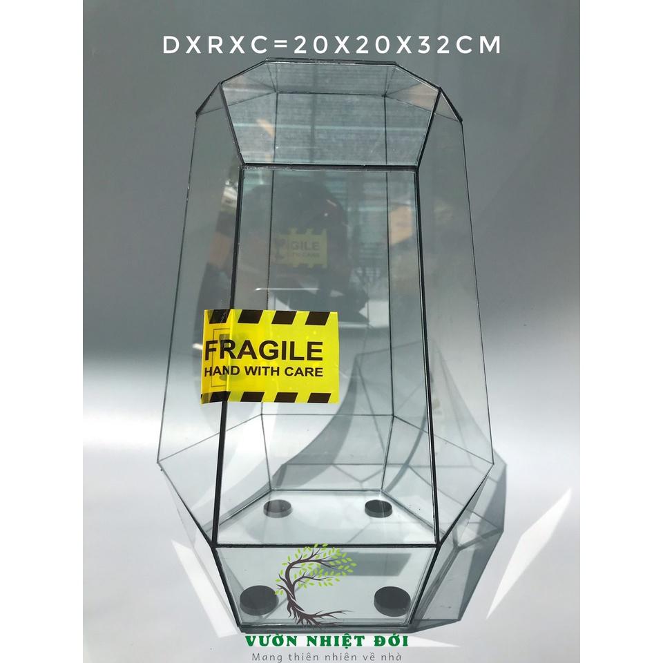 Bể Terrarium Đa Giác Setup Bán Cạn Để Bàn Làm Việc D23, R20, C32cm Đáy Lục Giác