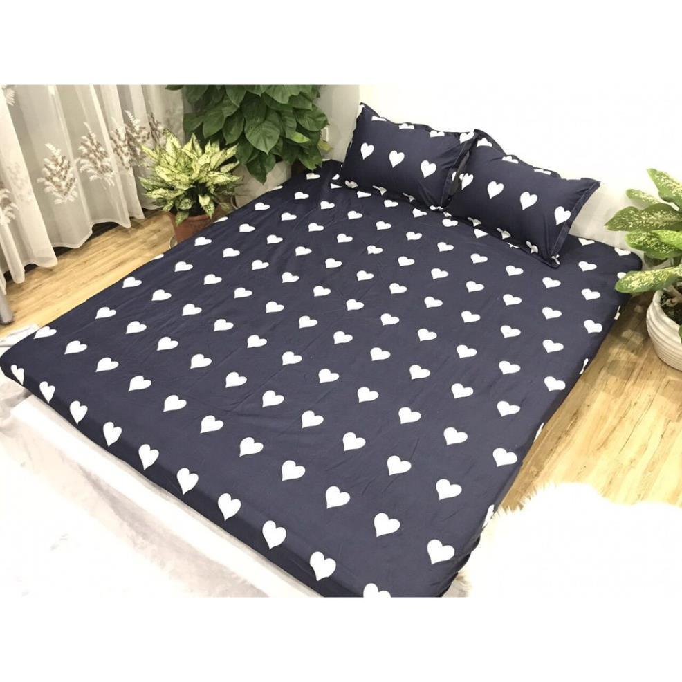 Bộ ga gối poly cotton