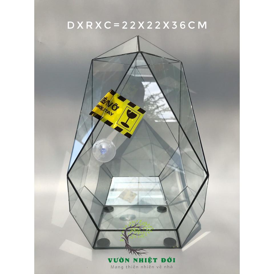 Bể Terrarium Đa Giác Setup Bán Cạn Để Bàn Làm Việc