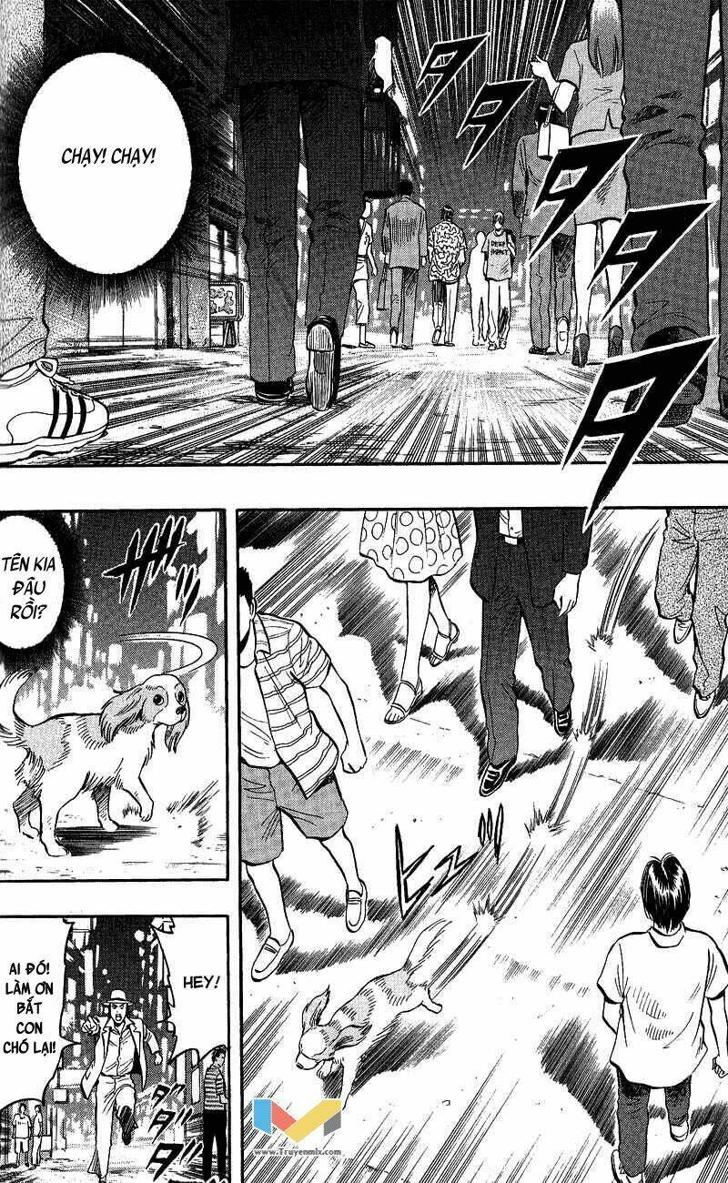 animal sense chapter 6 29