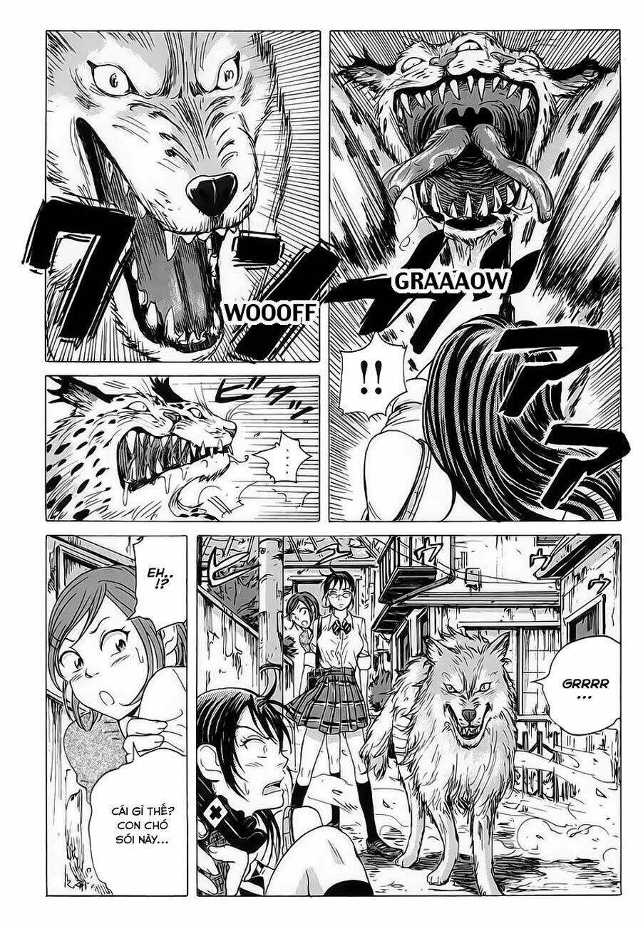 cúp quốc sư tử chapter 5 17