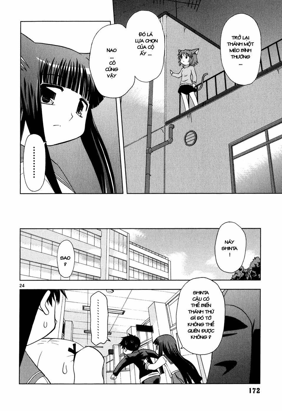 koi neko chapter 26 25