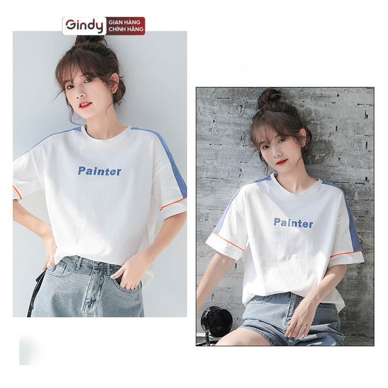 Áo thun nữ tay lỡ form rộng PAINTER phông chất cotton mát, co giãn unisex local brand GINDY A6171