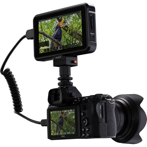 Màn Hình Hiển Thị- Monitor Atomos Shinobi (SDI)- Hàng Chính Hãng