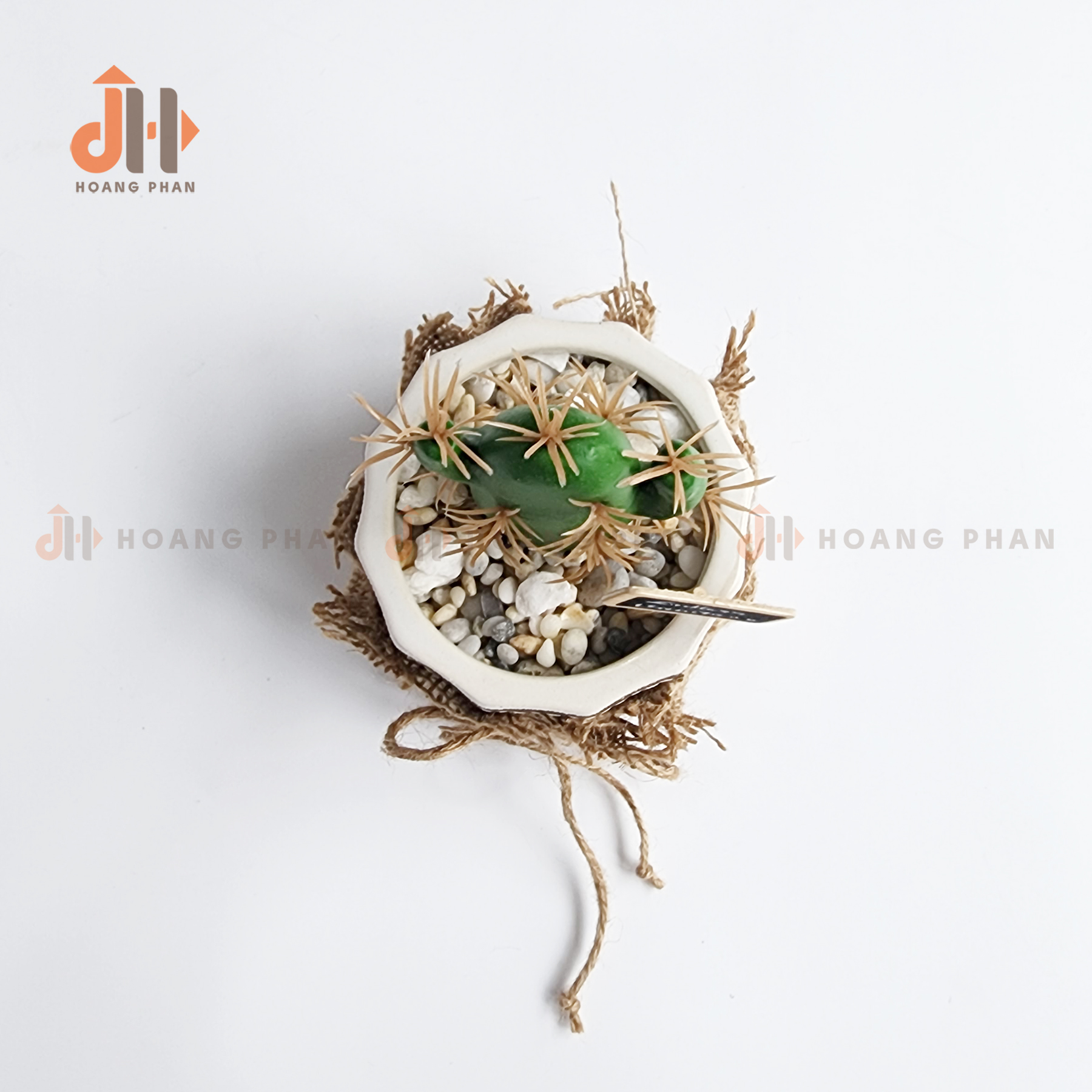 Trụ xương rồng lục giác vĩnh cửu trang trí