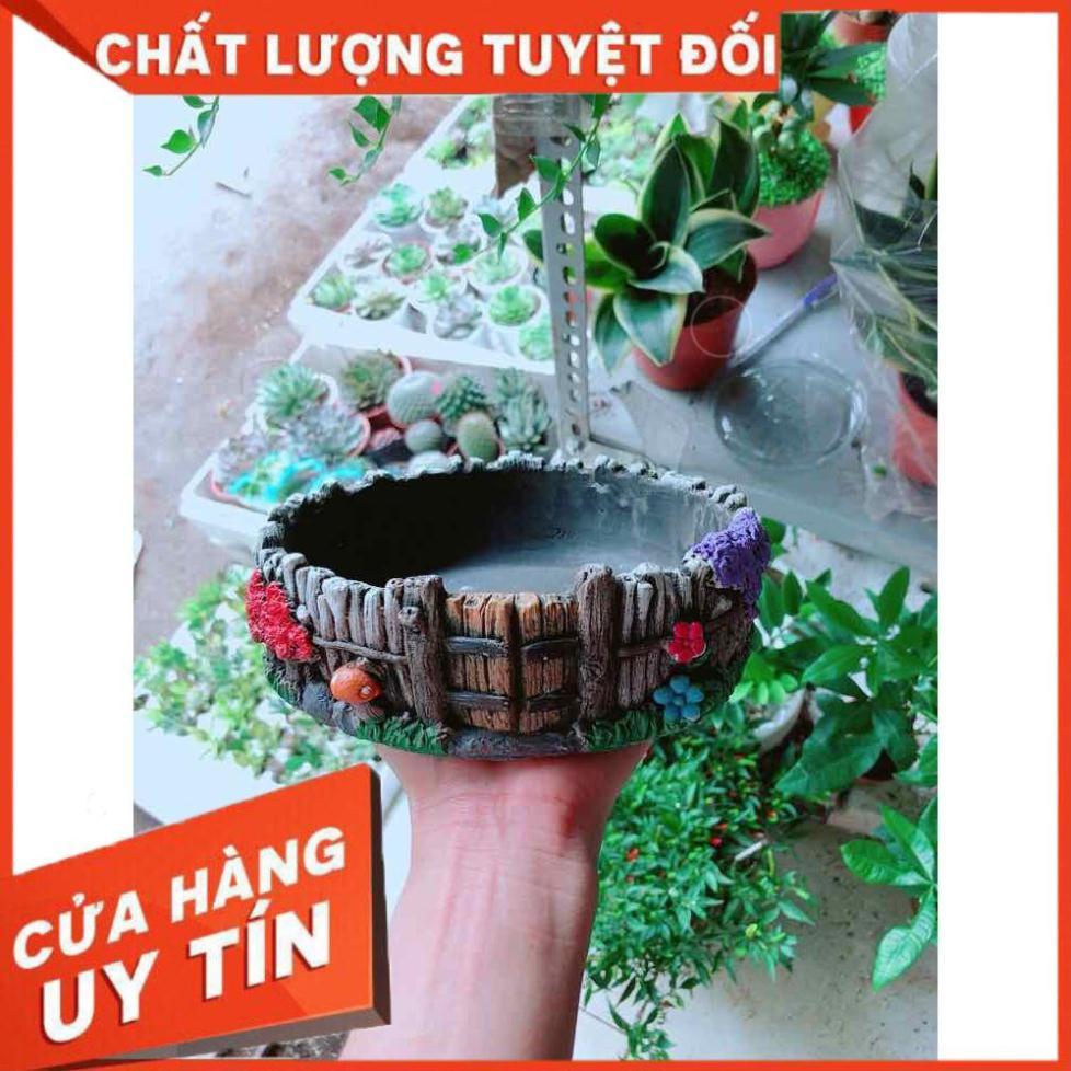 Chậu trồng cây Nhiều Người Mua