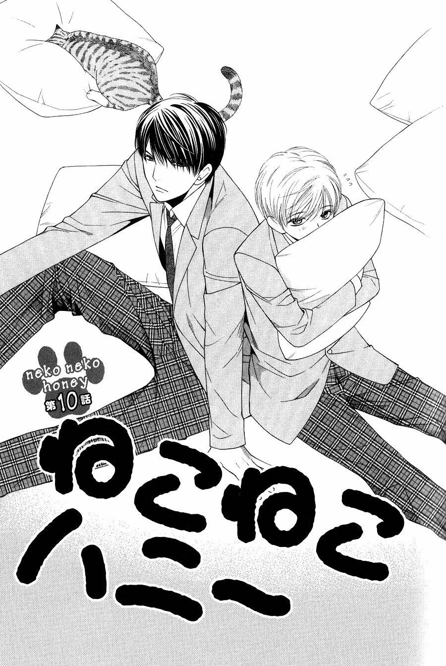 neko neko honey chapter 10 3
