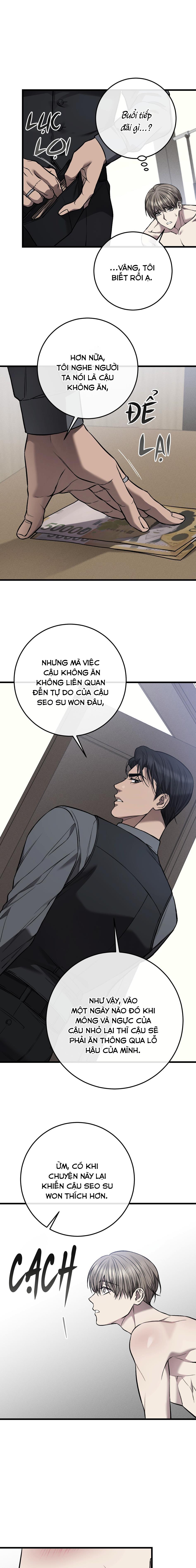 xx cặn bã chapter 12 13