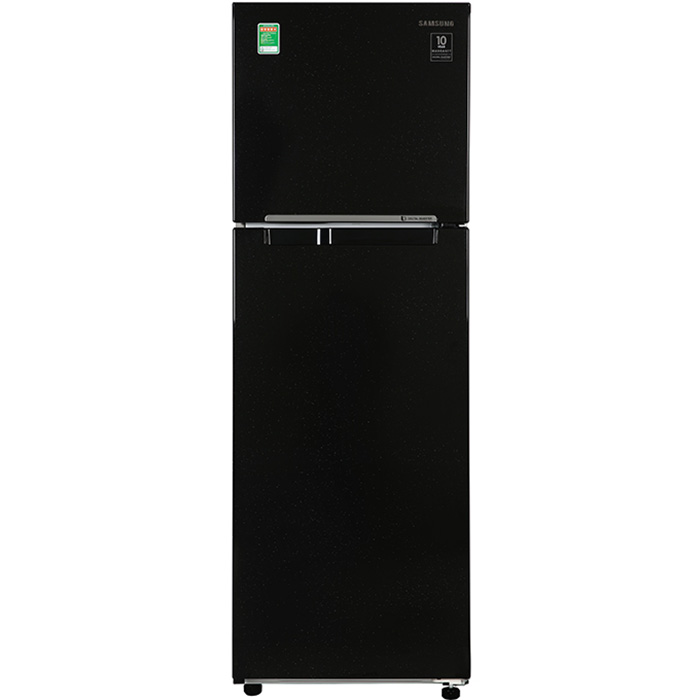 Tủ Lạnh Inverter Samsung RT25M4032BU/SV - Hàng Chính Hãng - Chỉ Giao tại HCM