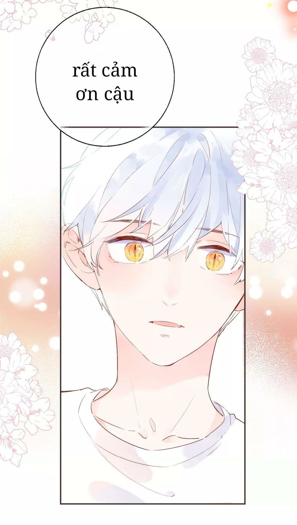 sos! tôi đã yêu một con sâu bướm (phần 2) chapter 53 27