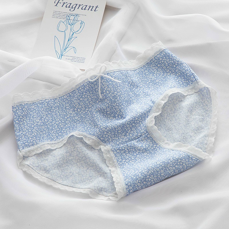 Combo 5 quần lót nữ cotton dễ thương Freesize kẻ xanh da trời