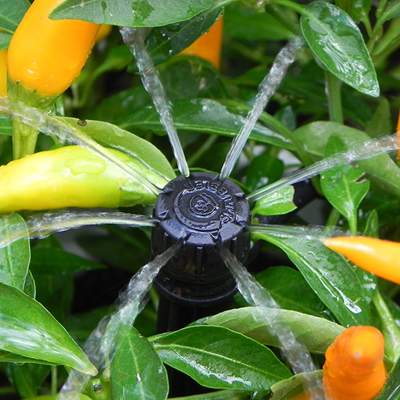 Tưới cây tự động OMEGA-26