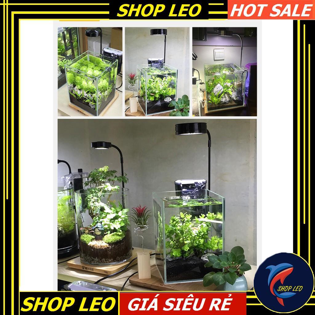 Đèn Led đế gỗ BamBoo 3W - Phụ kiện thủy sinh - shopleo