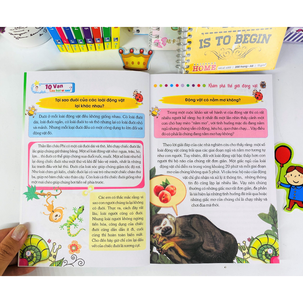 Sách - Bộ 10 cuốn: 10 Vạn Câu Hỏi Vì Sao - ndbooks