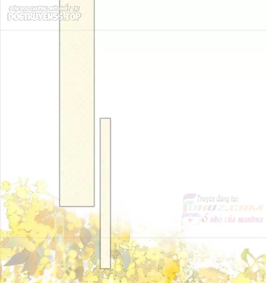 bảo vệ siêu sao của tôi chapter 173 24