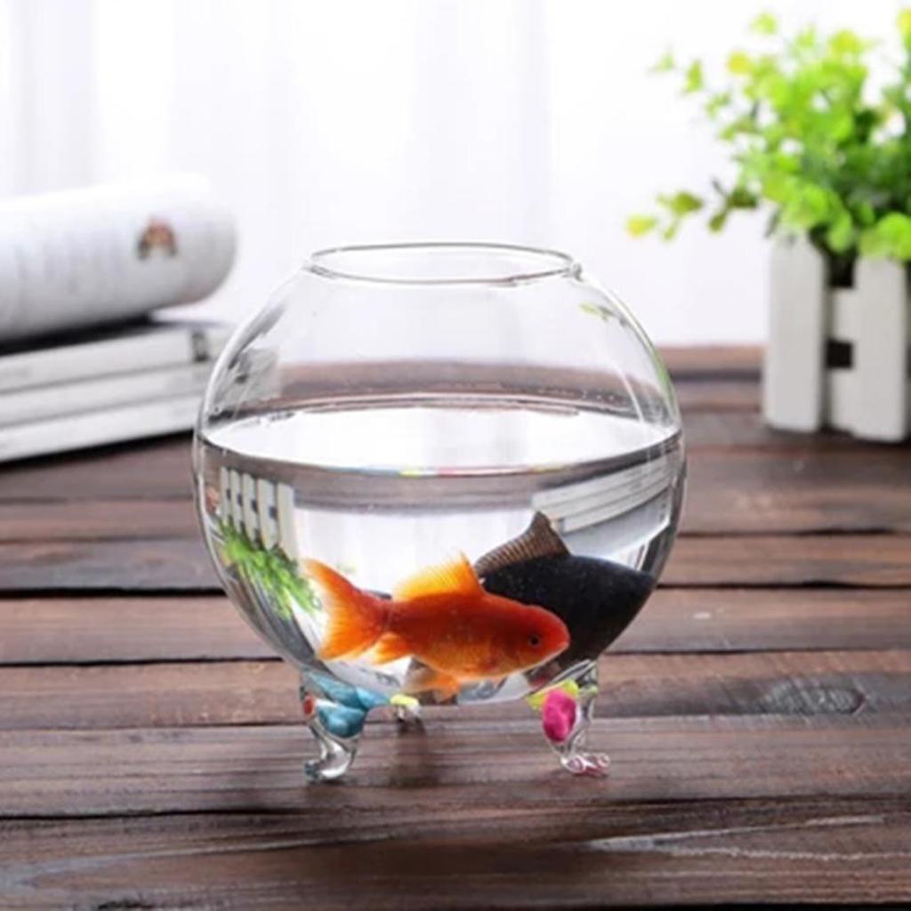 3 Xclear Kính Hoa Thủy Canh Bình Micro DIY Phong Cảnh Terrarium Chai S