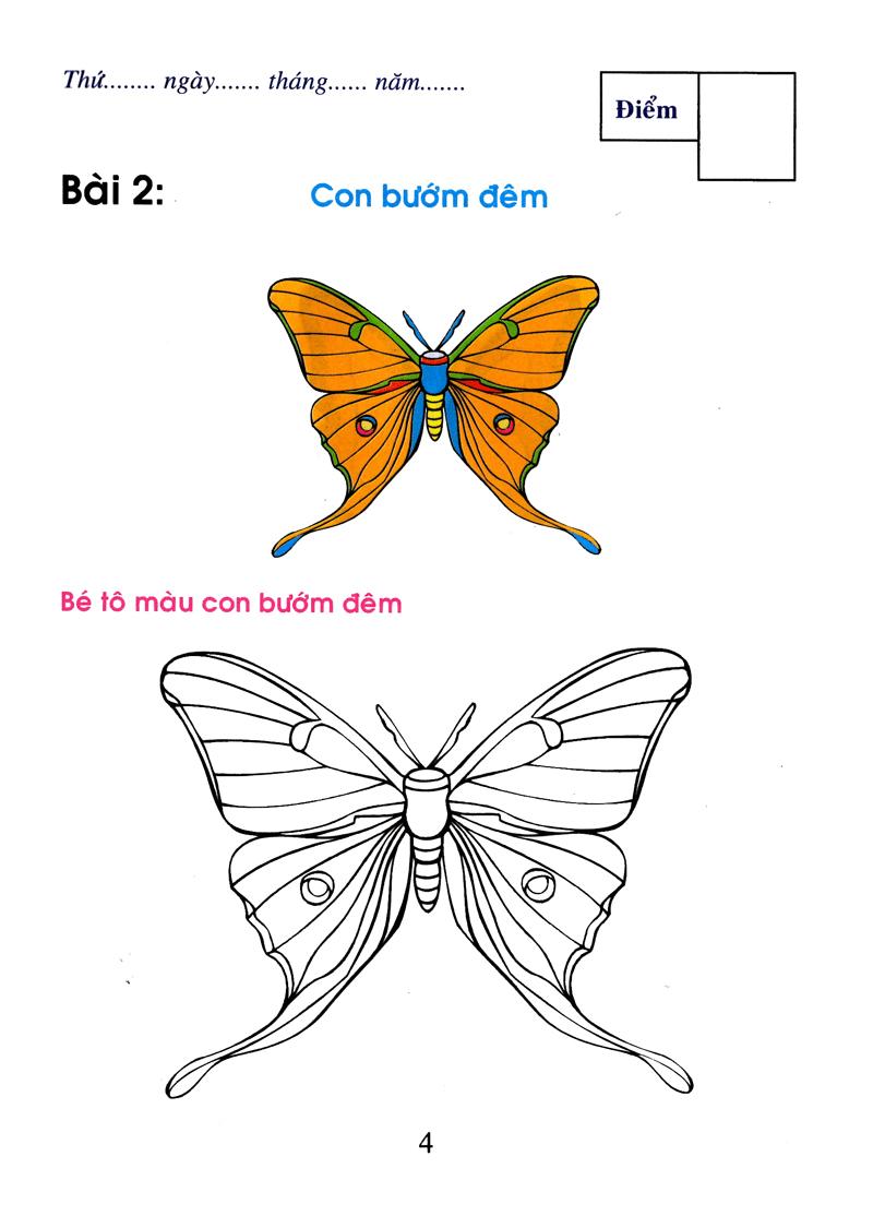 Bé tô màu & làm quen với môi trường- Côn trùng
