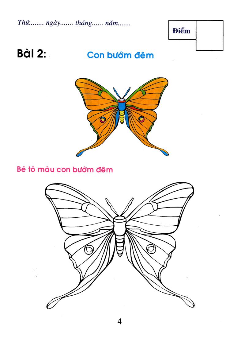 Bé tô màu &amp; làm quen với môi trường- Côn trùng