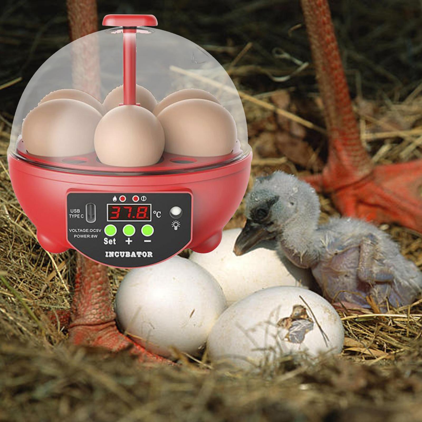 Egg Incubator Red Manual Red Manual