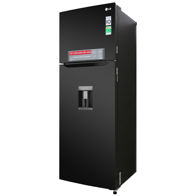 Tủ Lạnh Inverter LG GN-D315BL – Hàng Chính Hãng