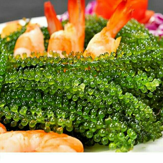 Rong Nho Tách Nước Tasami Kèm Xốt Tương Wasabi - Hộp 137,5g