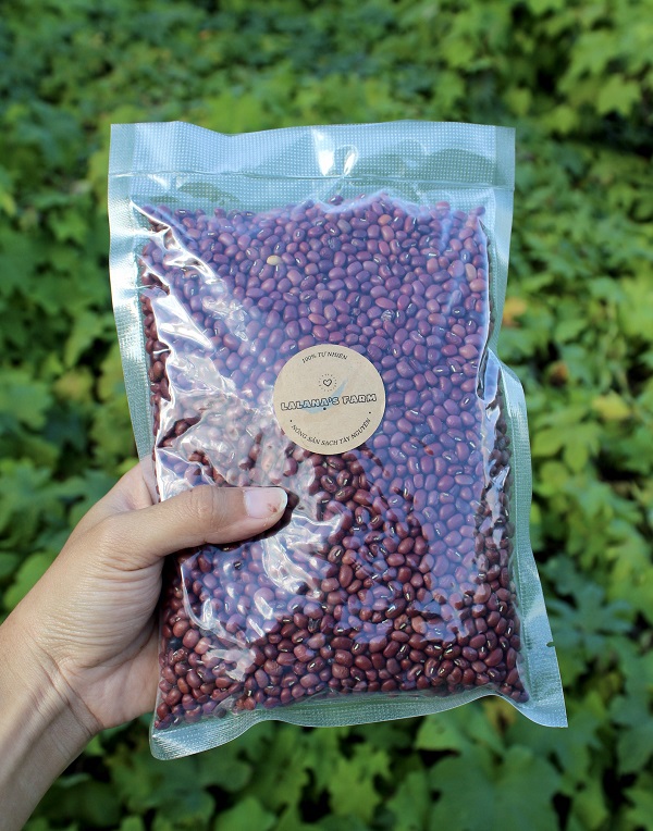 1KG Hạt Giống Đậu Đỏ Sạch Thuần Chủng Làm Giá Đỗ - Lalana's Farm