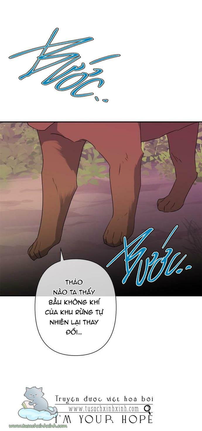 tôi đang nuôi dưỡng một con quái thú chapter 59 60