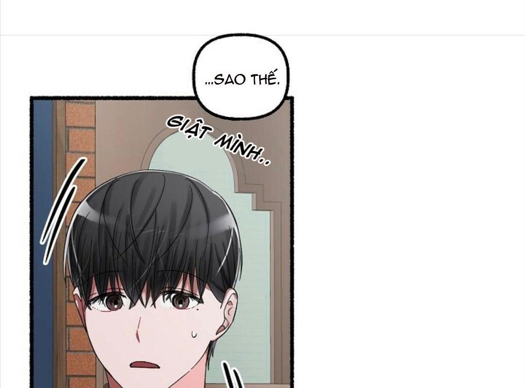 hoa triều chapter 19 41