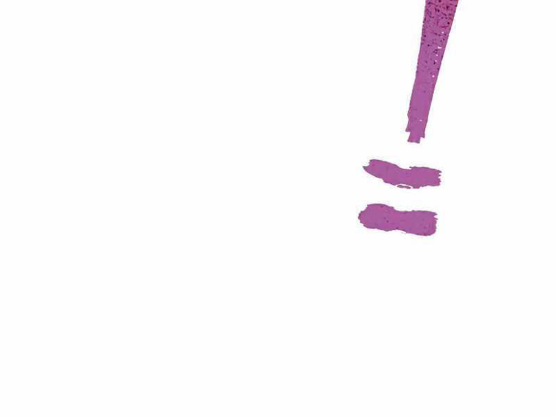 image 421