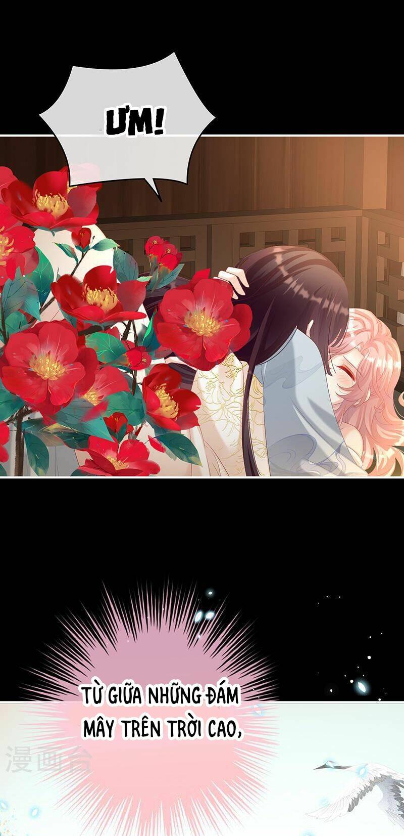 kiều phu có hỉ chapter 67 25