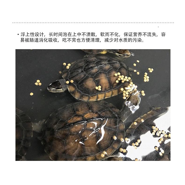 Thức ăn cho Rùa Nước hãng KAMA - Gói 1KG  Cám dinh dưỡng cho rùa nước - thức ăn rùa nước