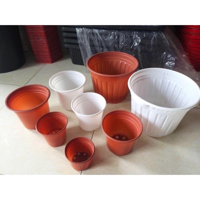 Set 50 Chậu nhựa dẻo trồng cây ươm cây màu nâu đỏ