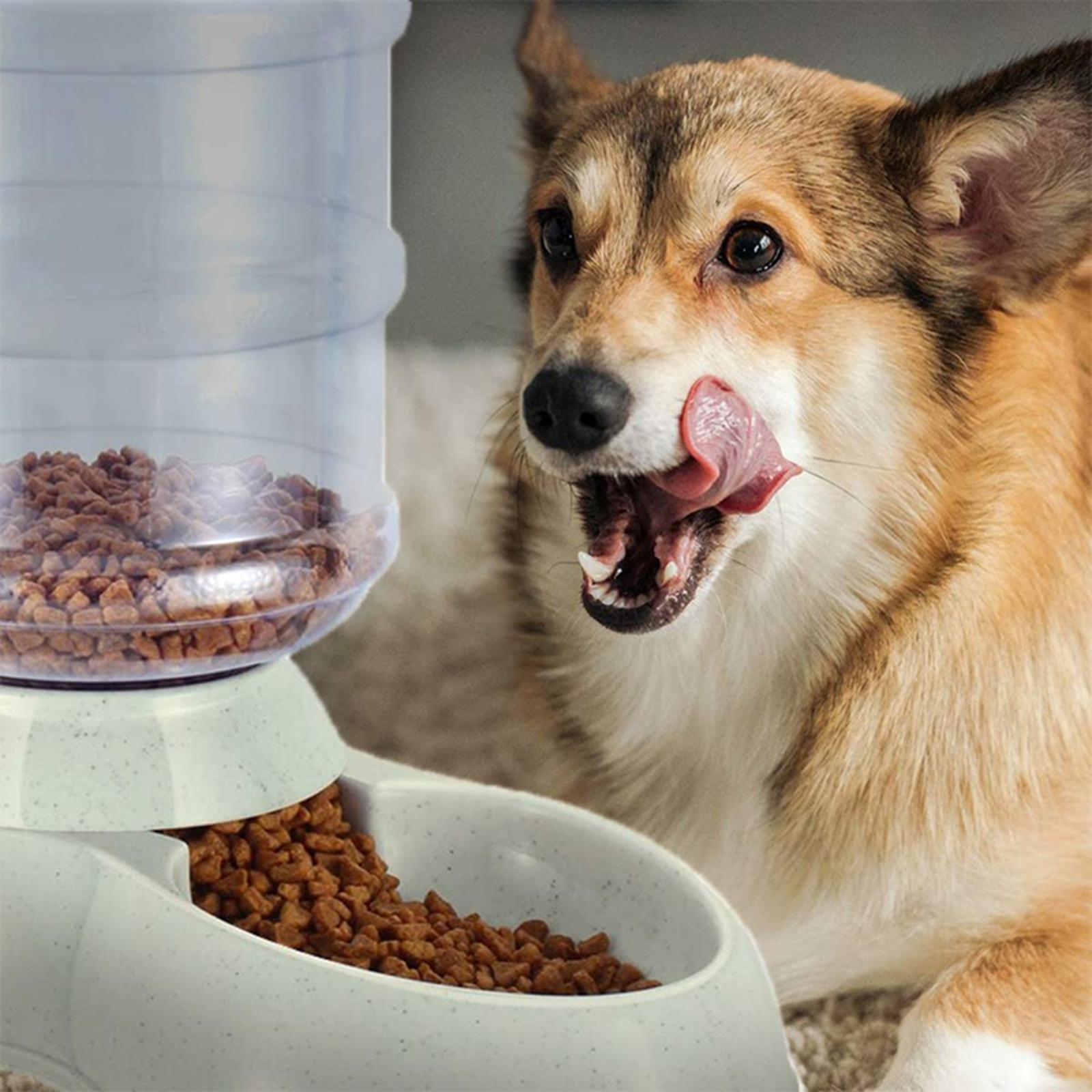 Automatic Cat Dog Feeder Water Dispenser for Small Medium Dog Pets Puppy Kitten Large Capacity 3.8L