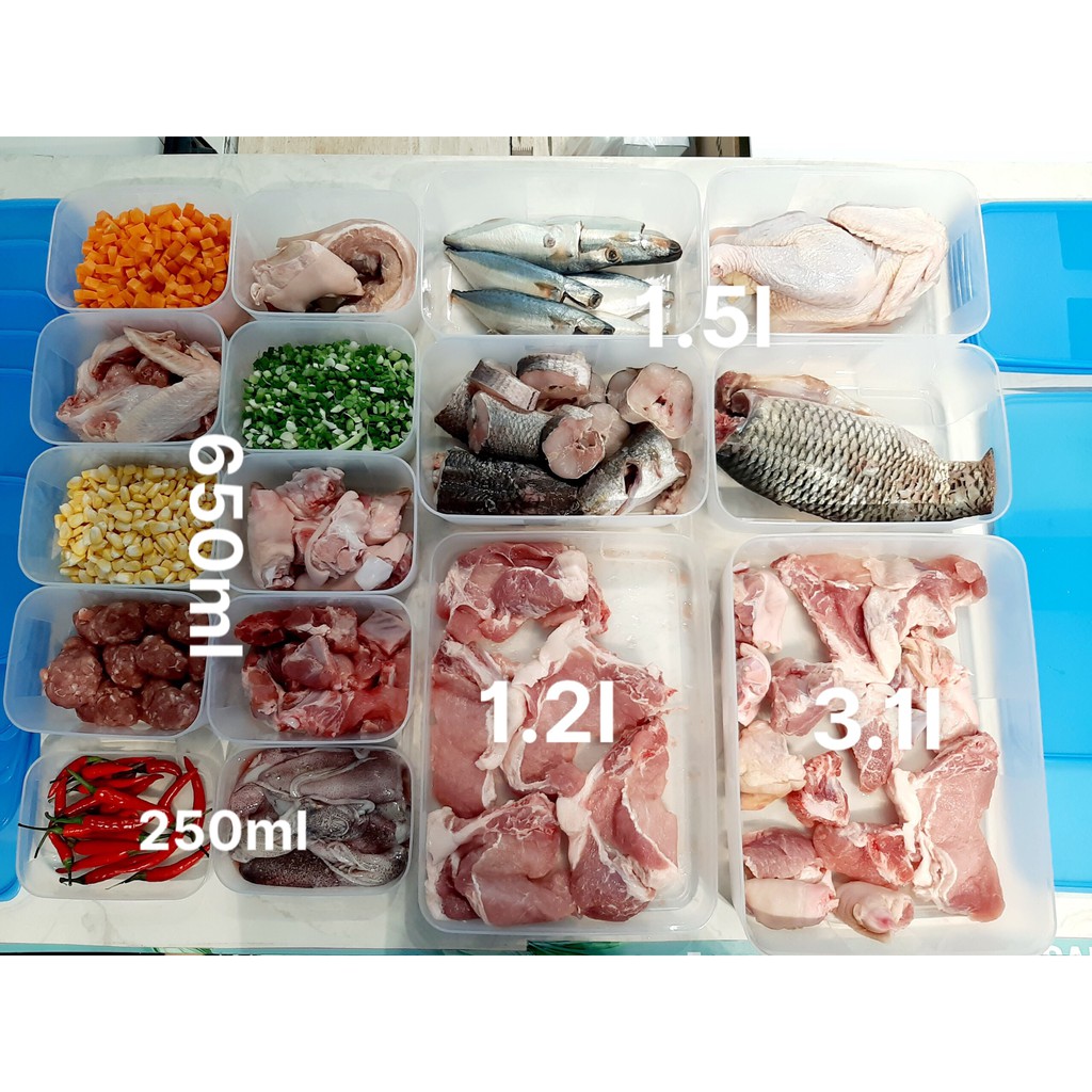 Bộ Trữ Đông Tupperware Freezermate Jumbo Set 16