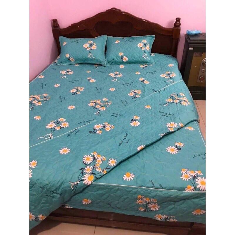 Bộ chăn ga gối 5 món ga phủ trần bông đủ các kích thước từ 1M6 đến 2M2