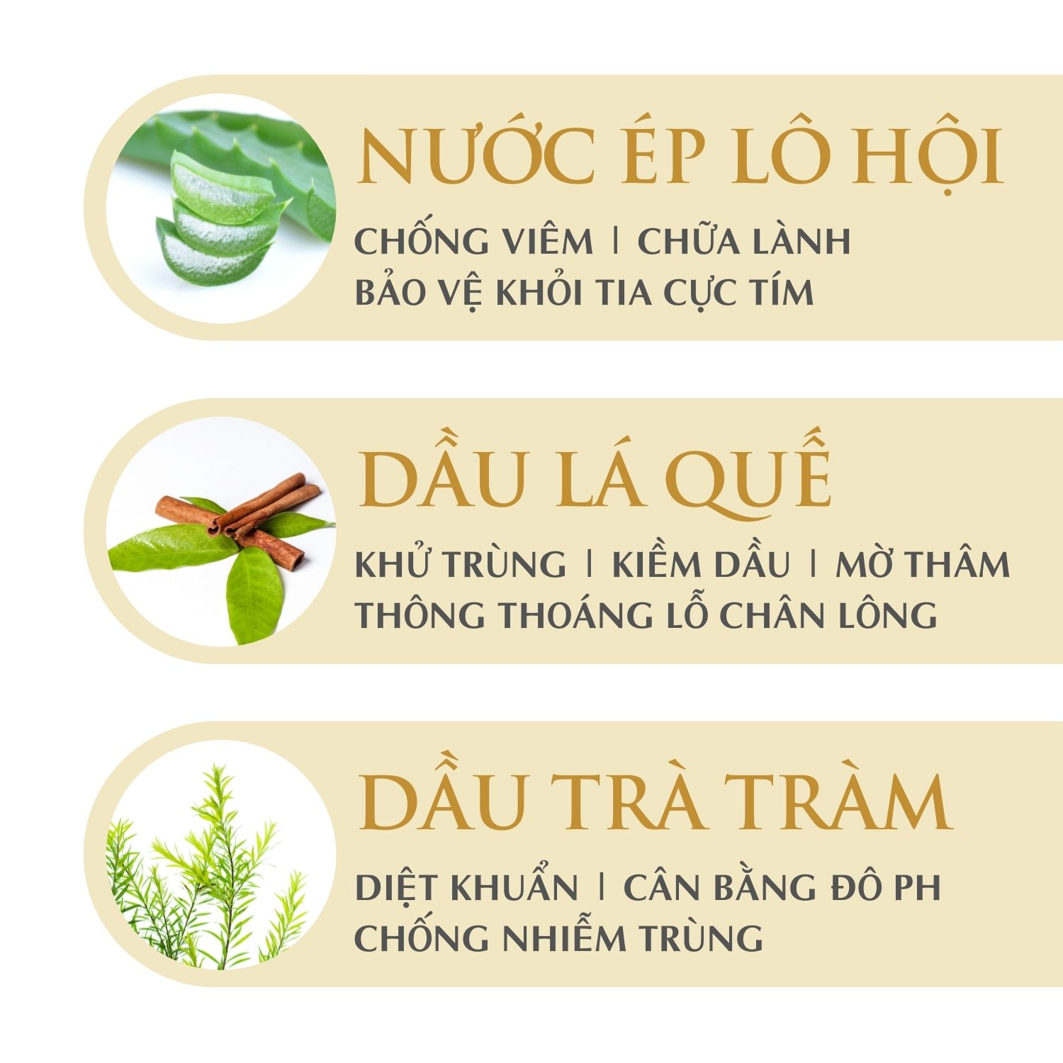 Combo Tẩy Tế Bào Chết Mật Ong Manuka Origani + Sữa Rửa Mặt Erda - Làm Sạch Sâu Mềm Da, Đều Màu Da - Có Chứng Nhận Hữu Cơ