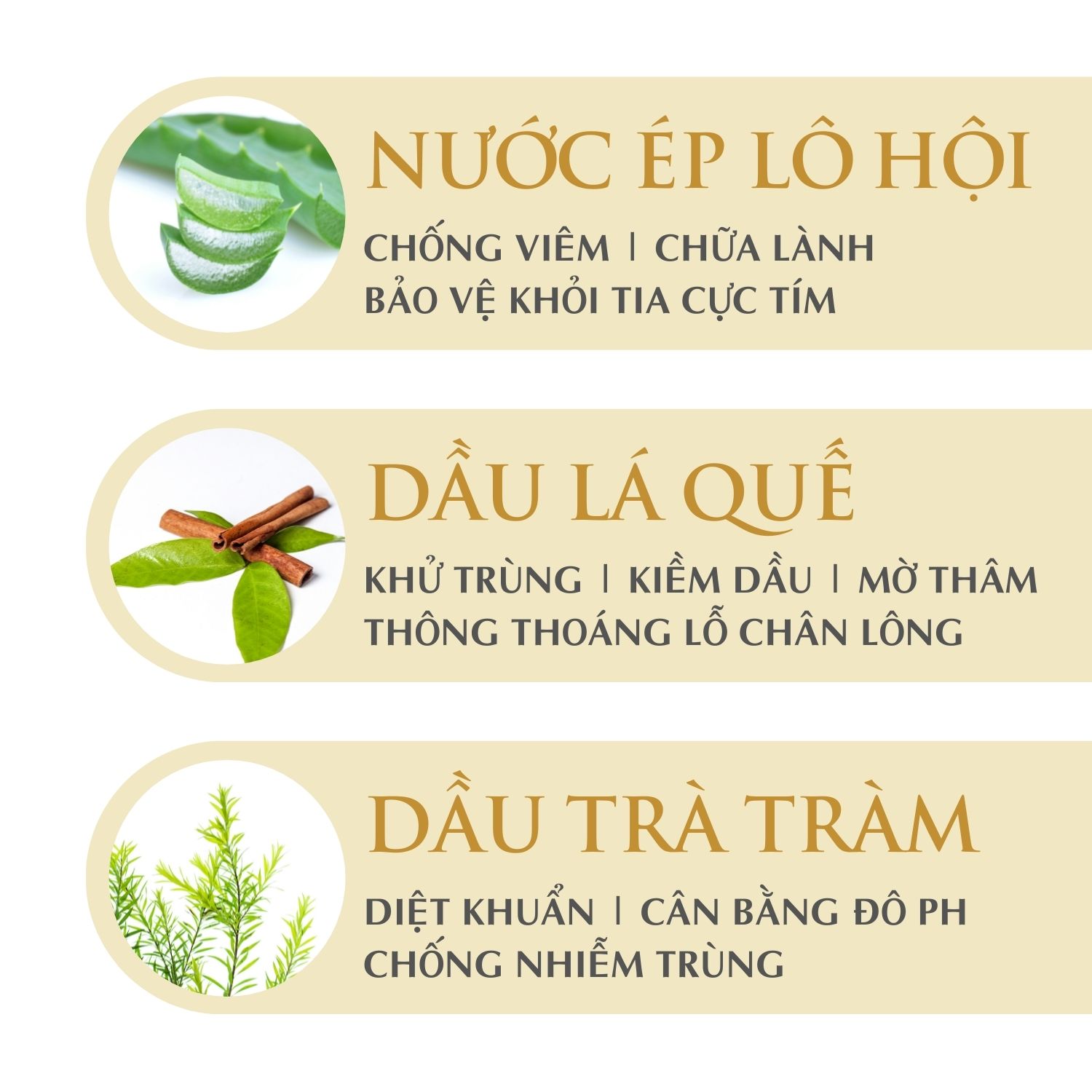 Combo Tẩy Tế Bào Chết Mật Ong Manuka Origani + Sữa Rửa Mặt Erda - Làm Sạch Sâu Mềm Da, Đều Màu Da - Có Chứng Nhận Hữu Cơ 