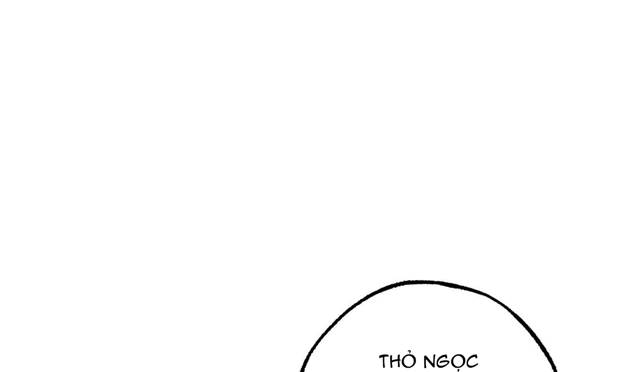 những chú thỏ của hapypy chapter 49 12