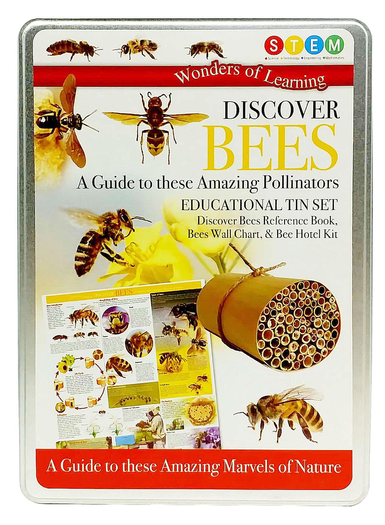 Wonder Of Learning - Discover Bees - A Guide To These Amazing Pollinators