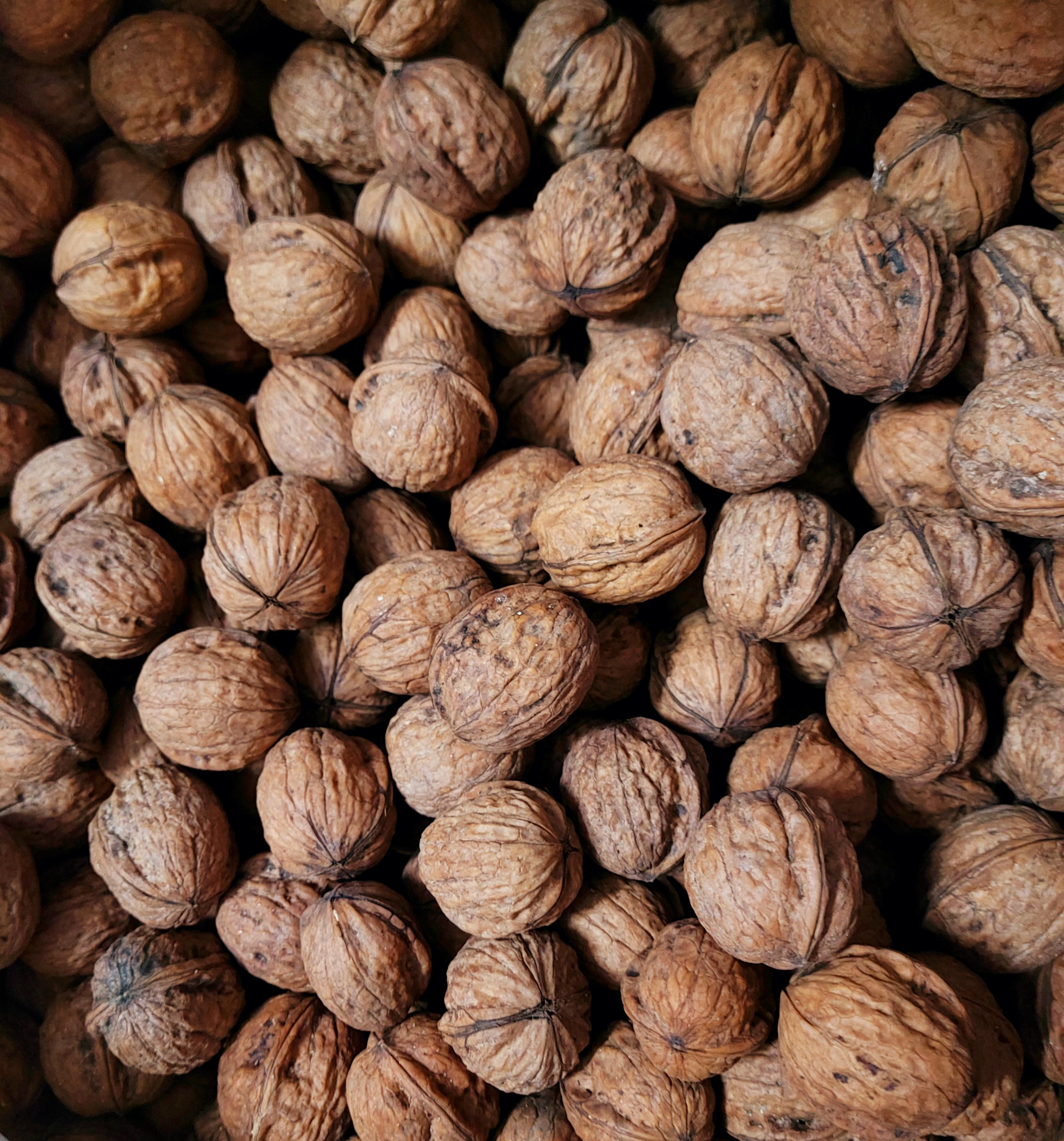 Quả Óc Chó đỏ Livermore - Nhập khẩu Mỹ, 500g