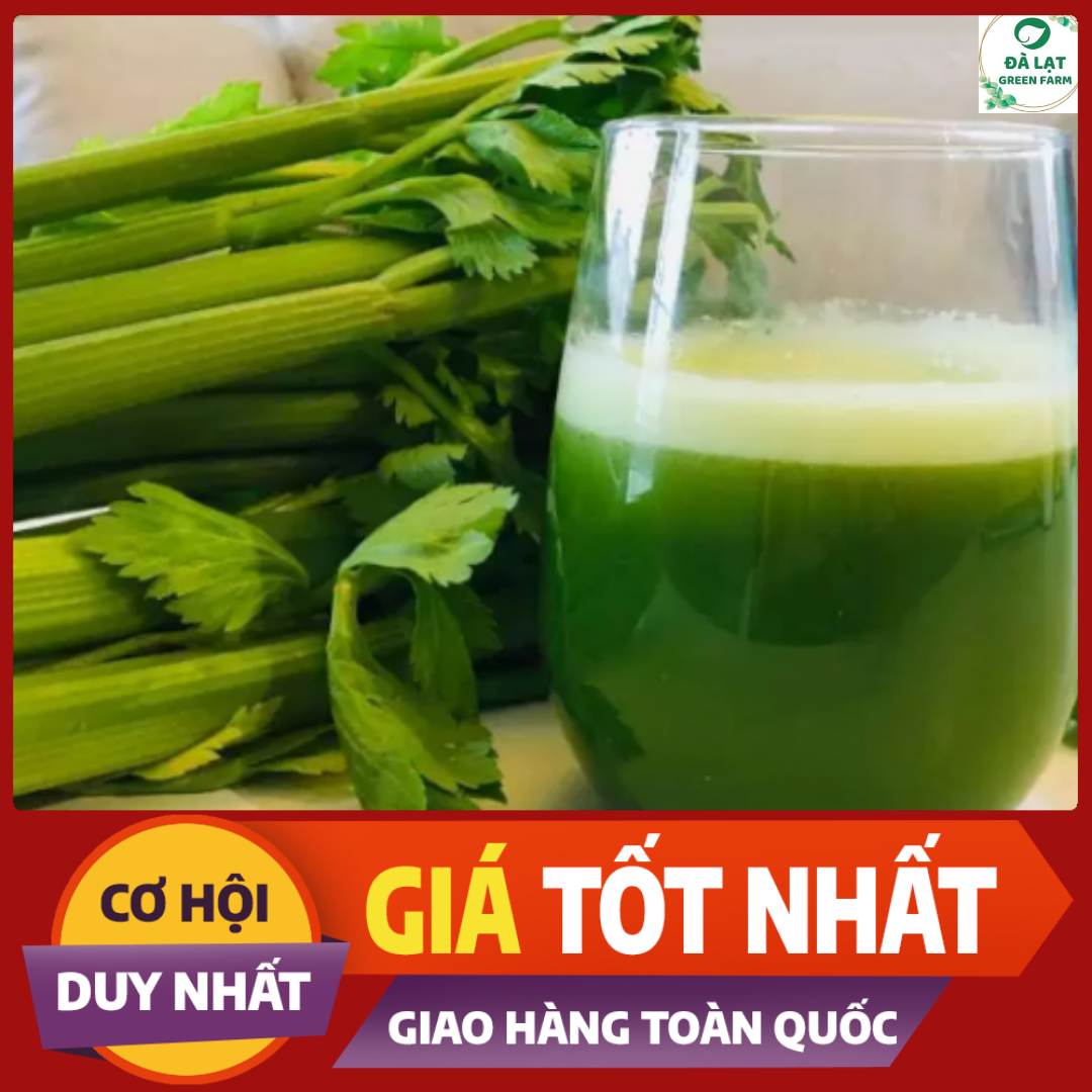 100H - HẠT GIỐNG CẦN TÂY MỸ KHỔNG LỒ