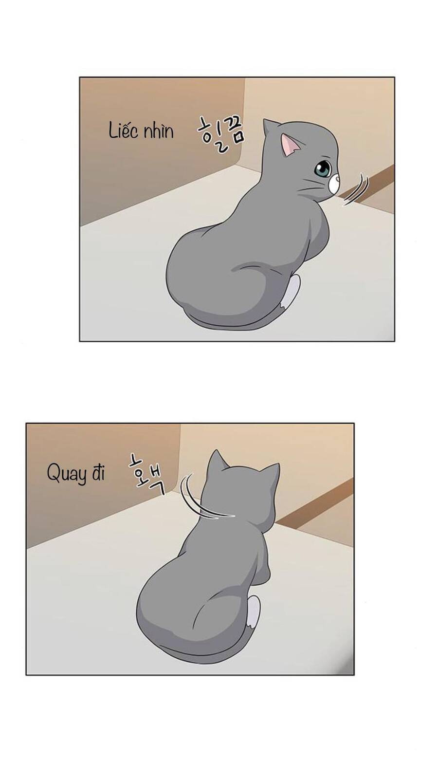 idol và sếp, em yêu ai? chapter 68 11