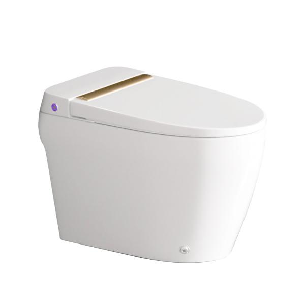 Bồn cầu bán điện tử ECOD EBE159 trang bị thêm nắp rửa cơ