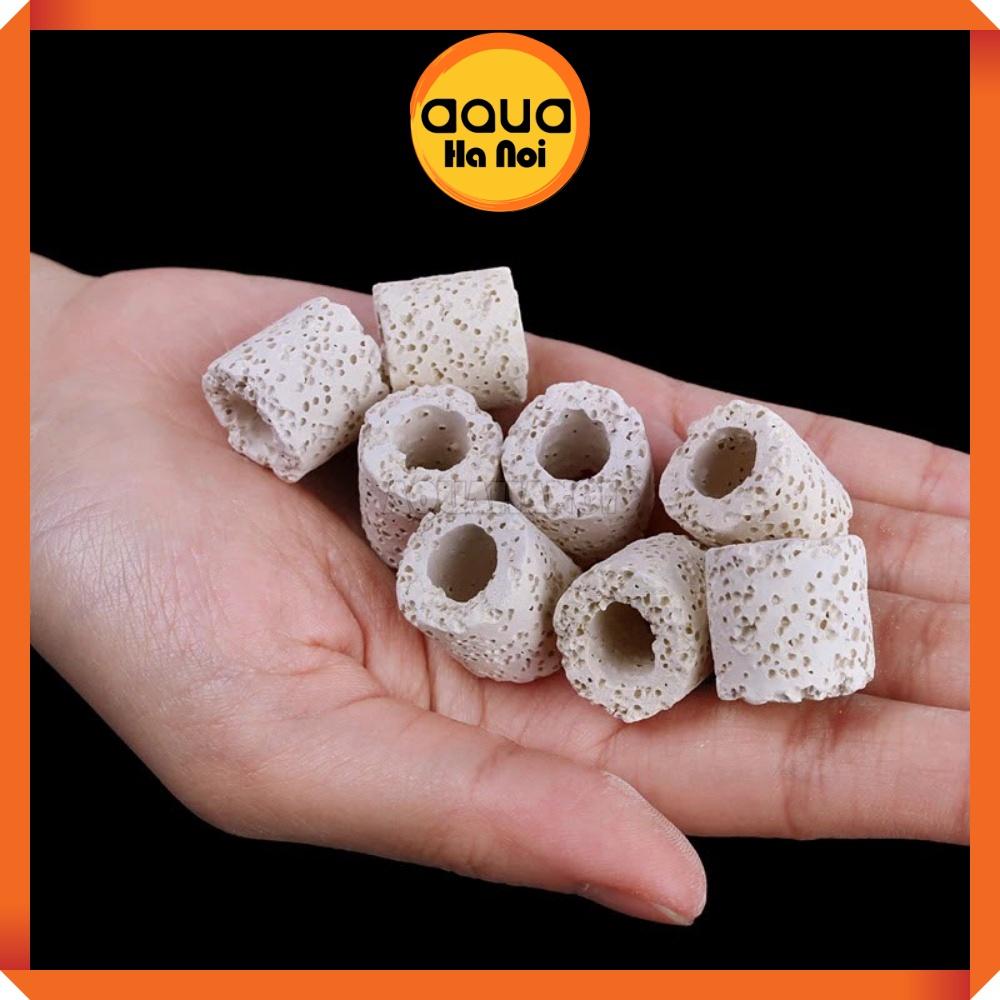 Sứ trụ trắng - Vật liệu lọc làm trong nước hồ cá Koi, cá rồng, thủy sinh - 100g/500g