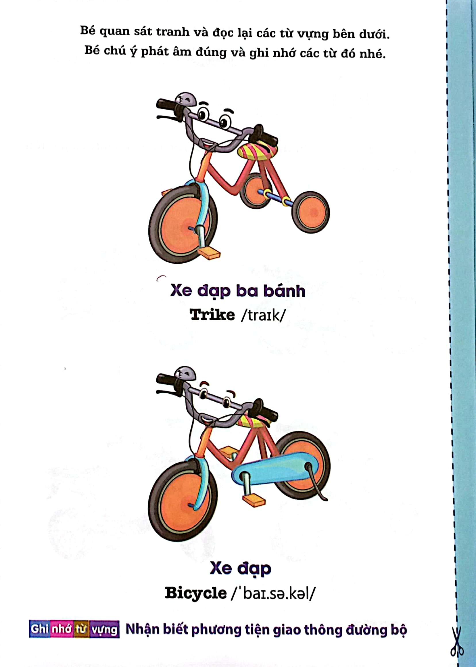 Giáo Dục An Toàn Giao Thông - Hướng Dẫn Bé Thực Hành